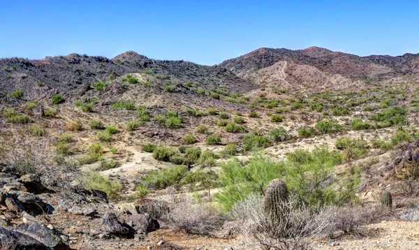 Back-to-back rescues on Westwing Mountain and South Mountain highlight Phoenix area’s year-round trail hazards