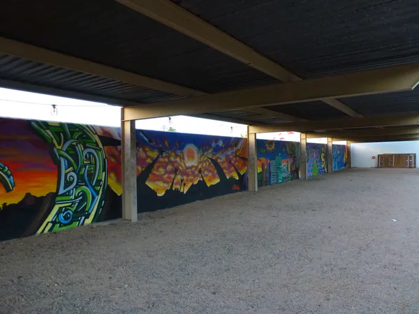 Elevation Rhythm and Immersive Art: What's On in Phoenix Today