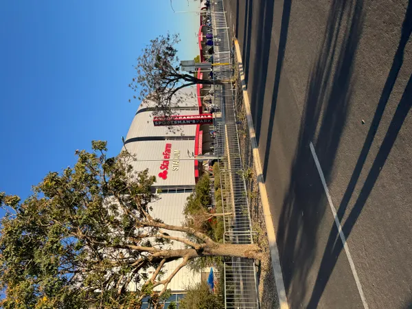 Phoenix-area concert calendar for 2026 highlights major stadium, arena and festival bookings across the Valley