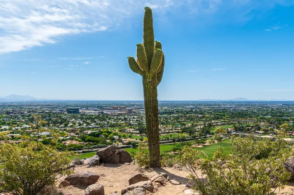 Sun-Drenched Sunday: Phoenix Braces for a Mid-Winter Warm-Up